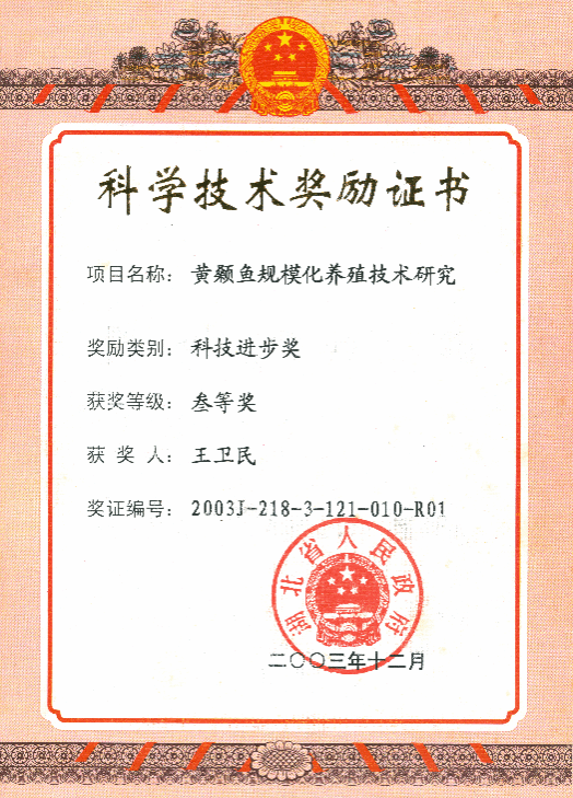 酷爱成人网