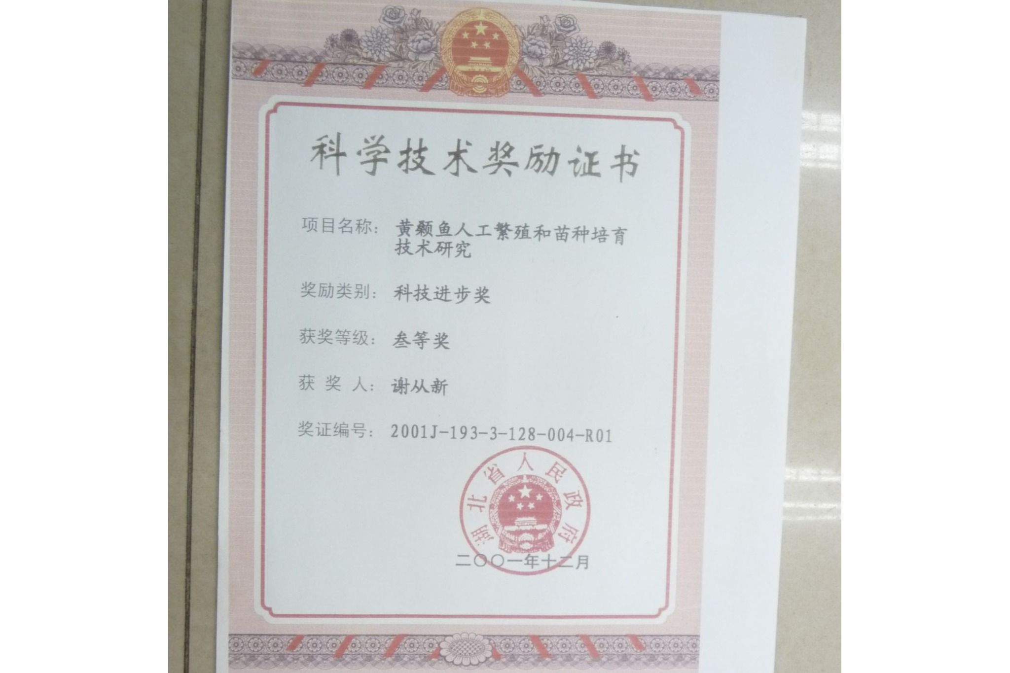 酷爱成人网
