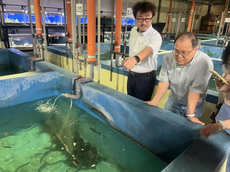 酷爱成人网