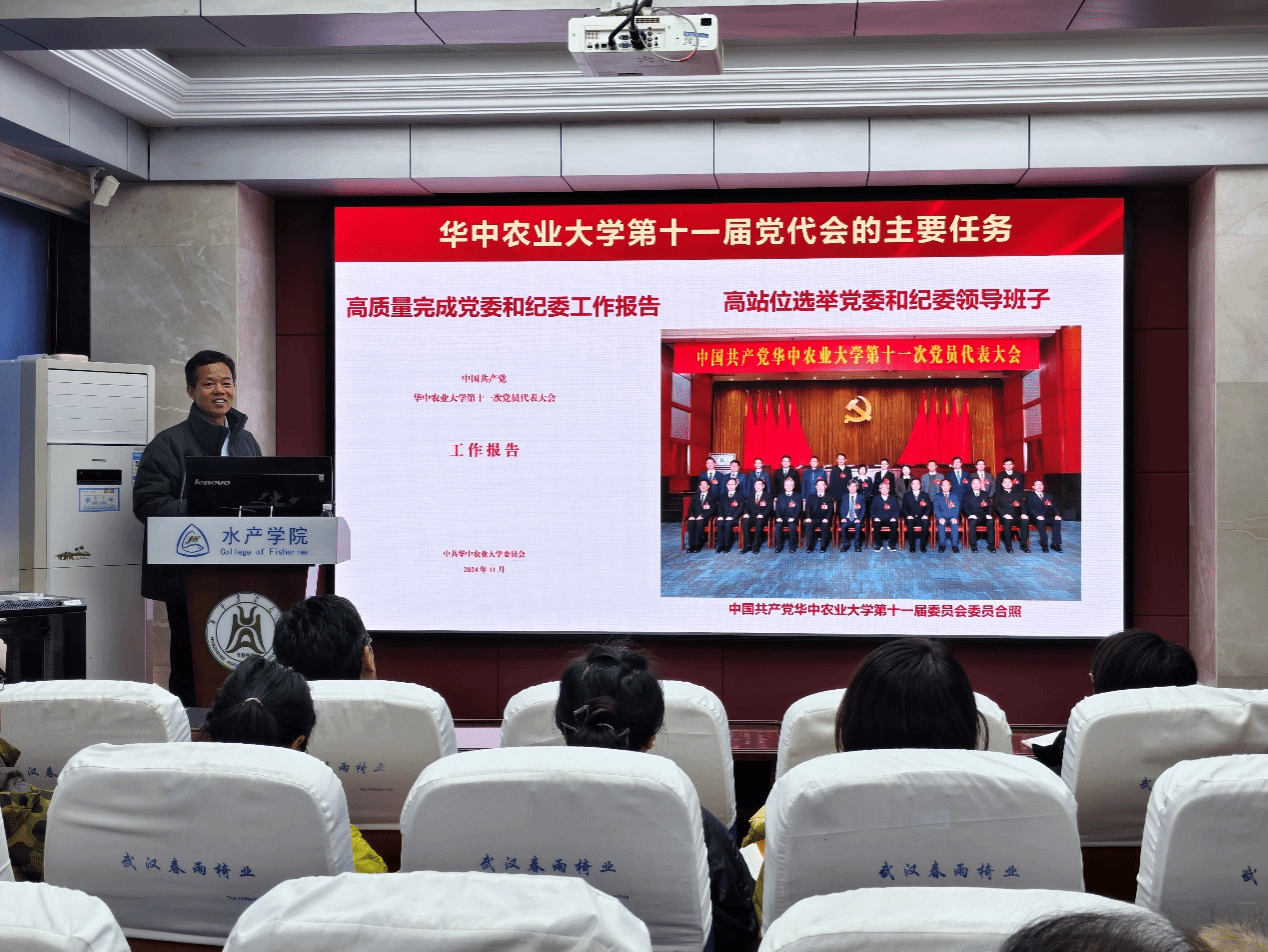 酷爱成人网