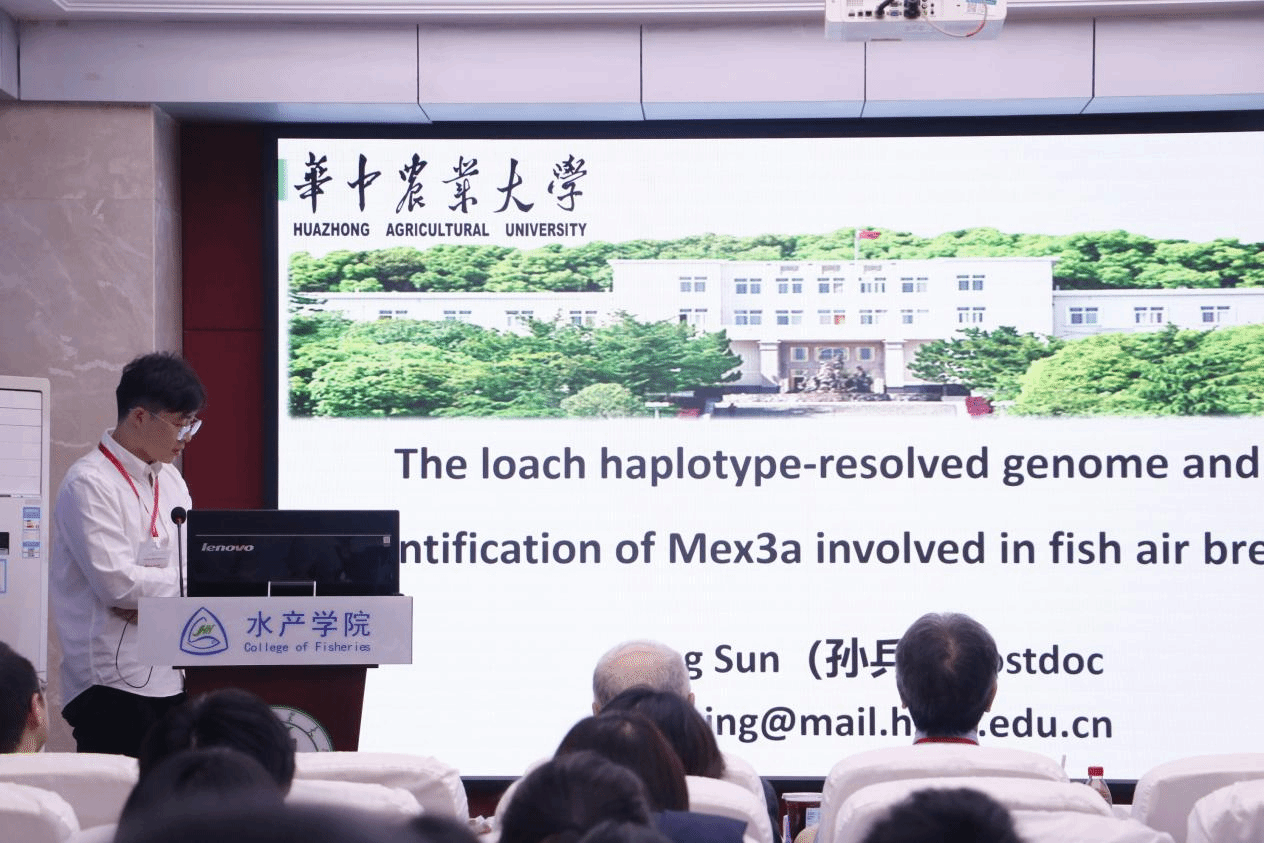 酷爱成人网