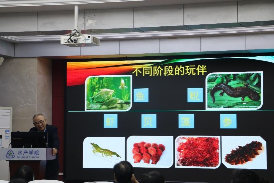 酷爱成人网