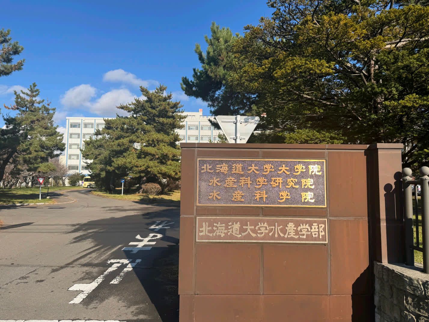 酷爱成人网