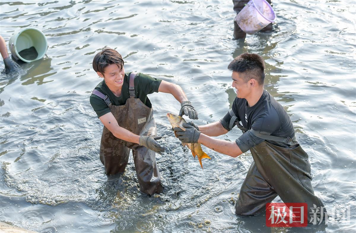 酷爱成人网