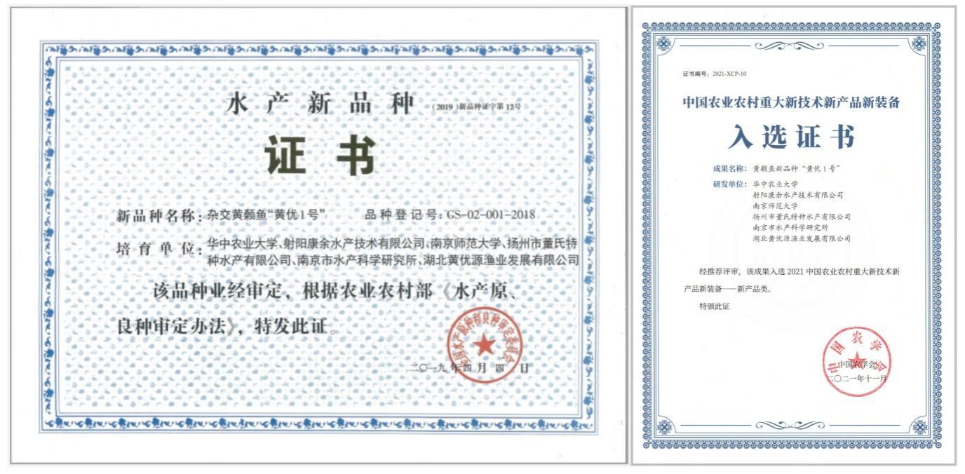 酷爱成人网
