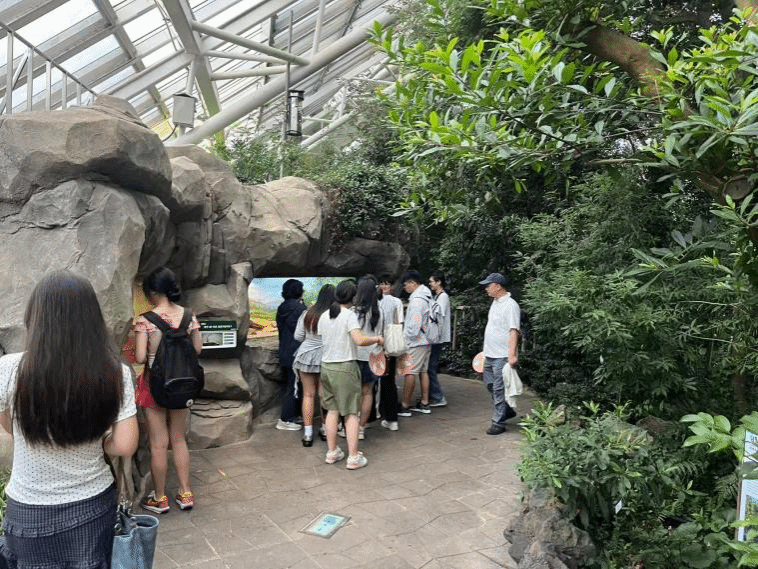 酷爱成人网