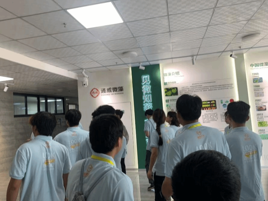 酷爱成人网