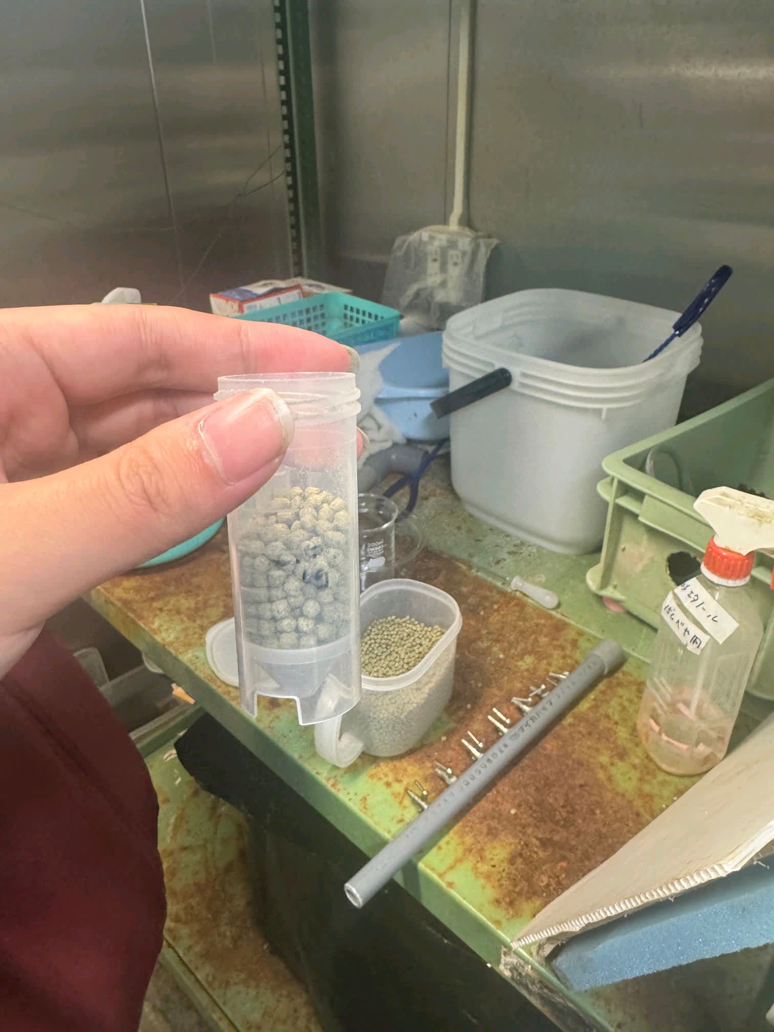 酷爱成人网