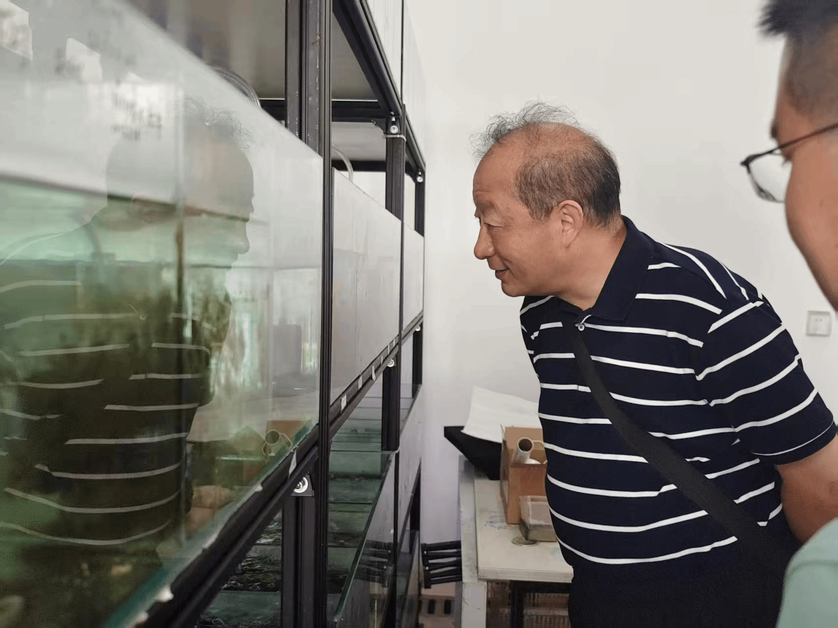 酷爱成人网